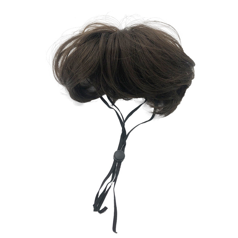 Wig Cosplay Tool for pets