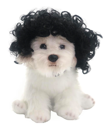 Wig Cosplay Tool for pets